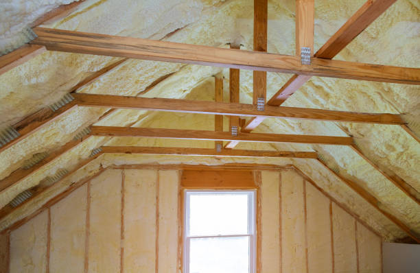 Best Best Insulation Companies  in Springfield, MO