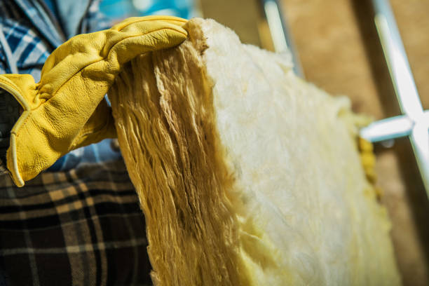Best Insulation Contractor Near Me  in Springfield, MO