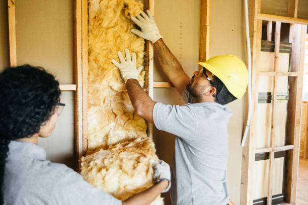 Best Attic Insulation Installation  in Springfield, MO