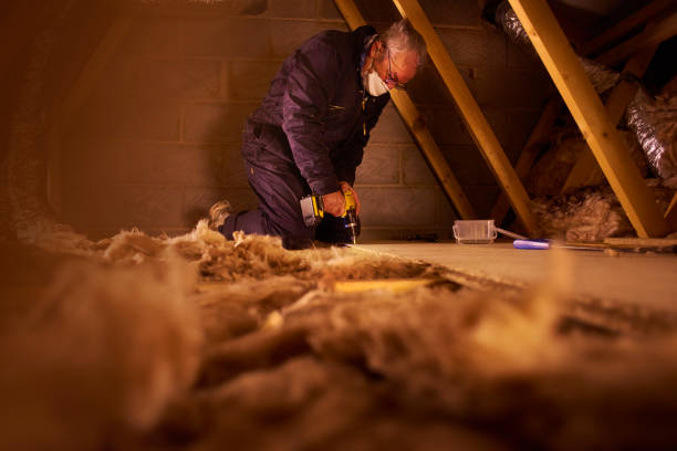 Best Insulation Replacement Services  in Springfield, MO