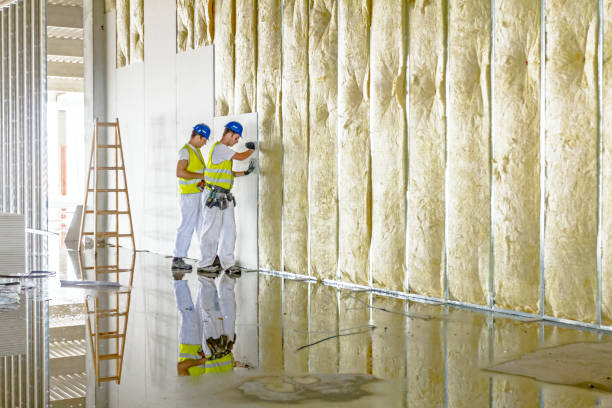Best Insulation Repair Services  in Springfield, MO